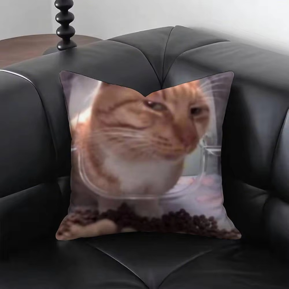 Funny Cat M-Meme Pillow Cover  - огляд і ціна Home Decor Emoji
