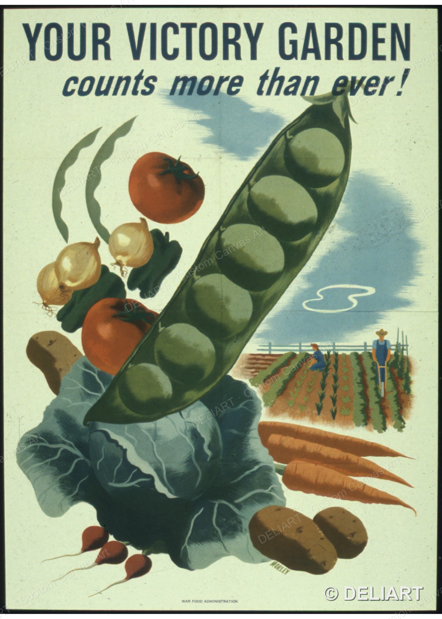 YOUR VICTORY GARDEN COUNTS MOR - огляд і ціна Victory Home Decor